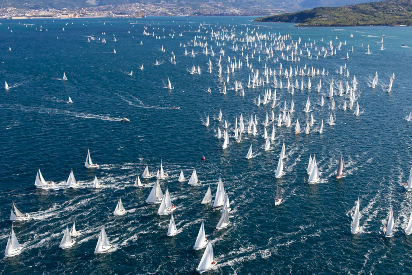 Trieste, 09/10/11 Barcolana 2011Fleet racePhoto: © Carlo Borlenghi